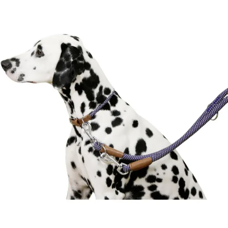 Collier pour chien en corde 45 - 65 cm