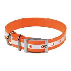 Collier pour chien orange phosphorescent 45 cm