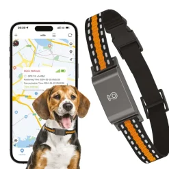 Collier traceur GPS 4G pour animaux - IP65 - Application gratuite