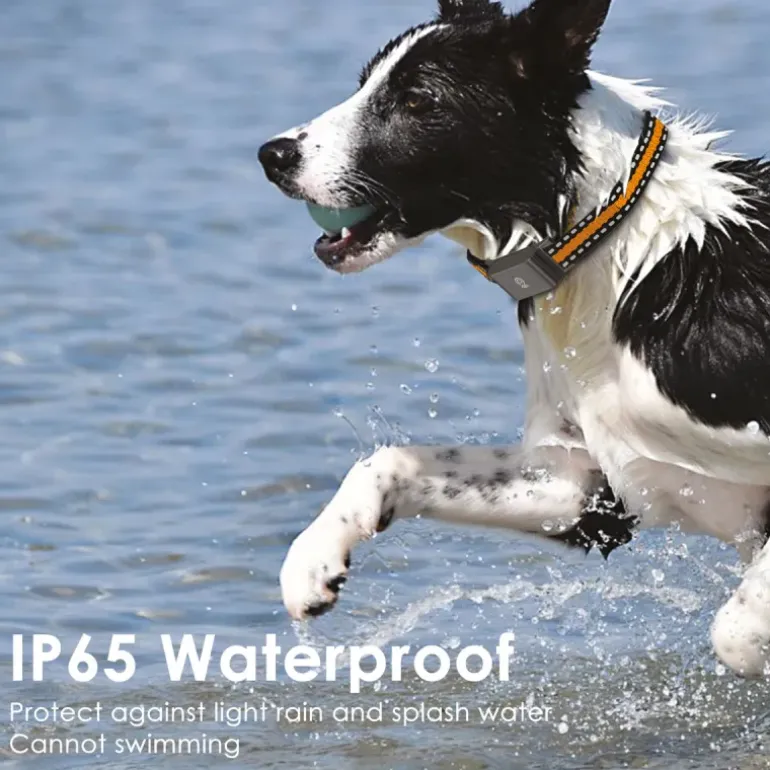 Collier traceur GPS 4G pour animaux - IP65 - Application gratuite