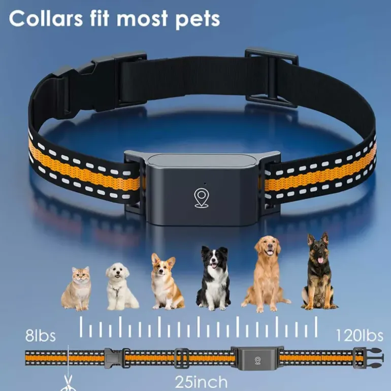 Collier traceur GPS 4G pour animaux - IP65 - Application gratuite
