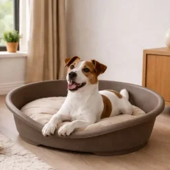 Corbeille pour chien en plastique 50x38x22 cm
