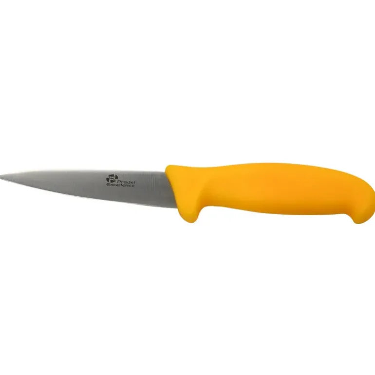 Couteau office Authentique lame acier inoxydable 10 cm