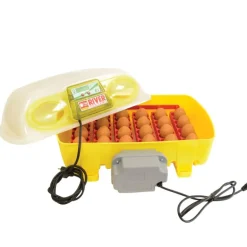 Couveuse 24 œufs Biomaster + Humidificateur Nebula River