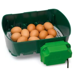 Couveuse automatique 12 oeufs River Systems Egg Tech 12
