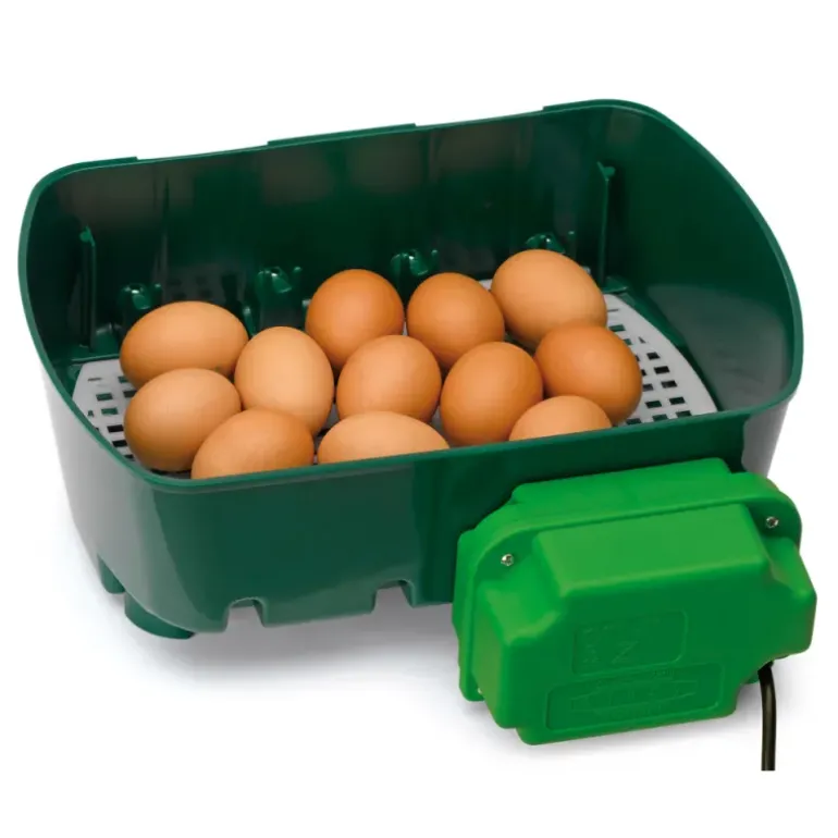 Couveuse automatique 12 oeufs River Systems Egg Tech 12