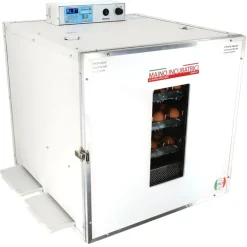 Couveuse automatique Maino Mini Pro 147 Digitale