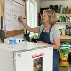 Couveuse automatique Maino Mini Pro 196 Digitale