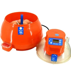 Couveuse automatique Novital Covatutto 16L Pro