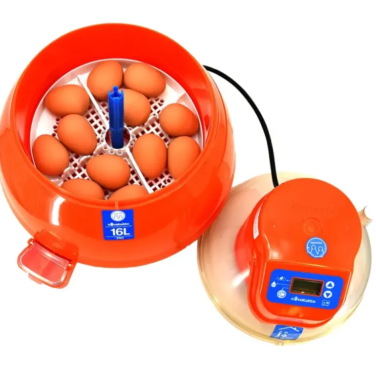 Couveuse automatique Novital Covatutto 16L Pro