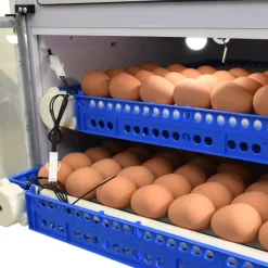Couveuse Automatique PRO Couvitech® 136 Œufs - Incubation Haute Performance