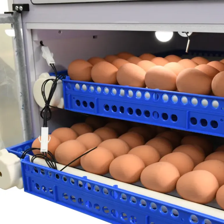 Couveuse Automatique PRO Couvitech® 136 Œufs - Incubation Haute Performance
