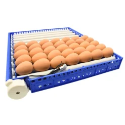 Couveuse Automatique PRO Couvitech® 136 Œufs - Incubation Haute Performance