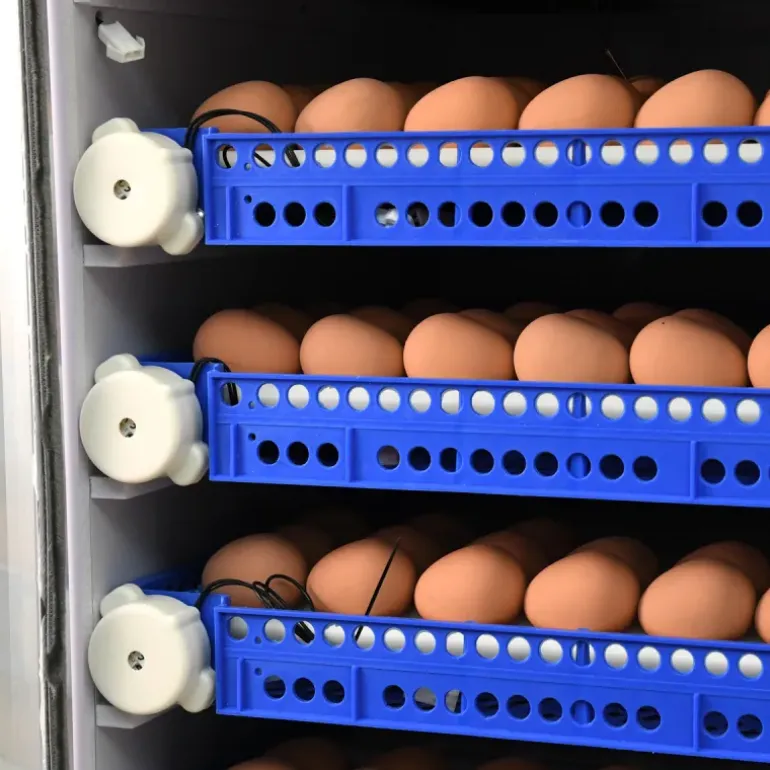 Couveuse Automatique PRO Couvitech® 272 œufs - Incubation Haute Performance