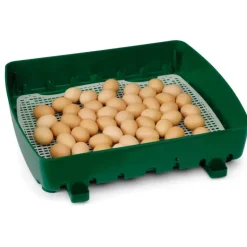 Couveuse automatique River System Egg Tech 49 oeufs