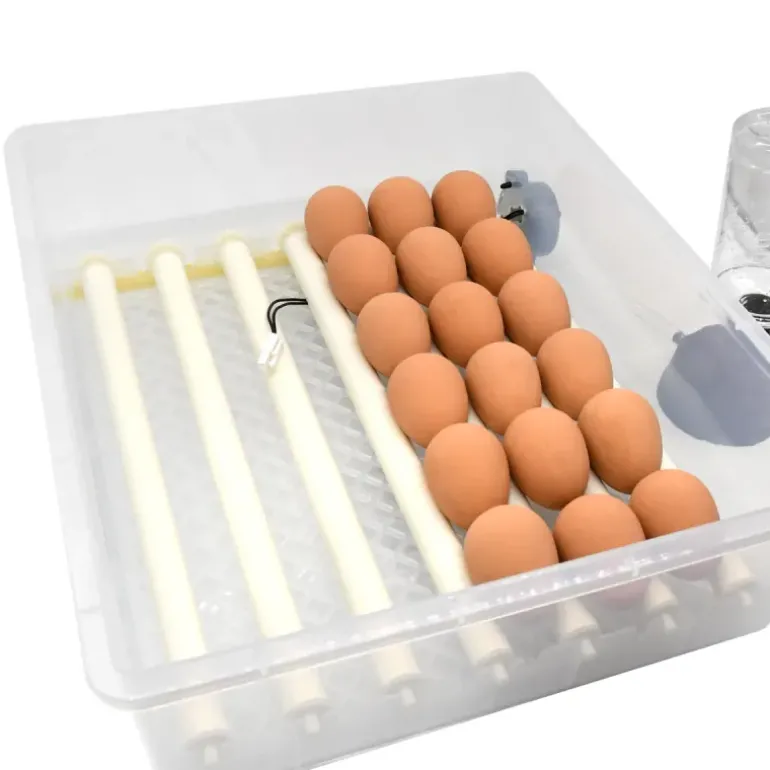 Couveuse Automatique SP Couvitech® 36 Œufs - Incubation Professionnelle et Fiable