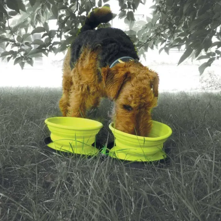 Double gamelle chien voyage rétractable silicone 700ml avec zip
