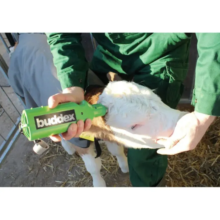 Ecorneur Buddex à batterie