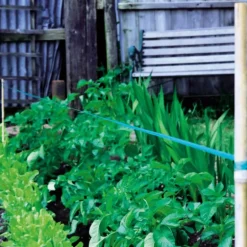 Effaroucheur 30 mètres ruban sifflant