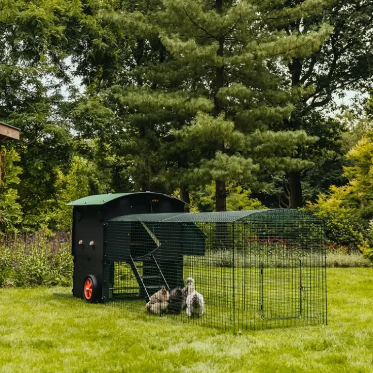 Extension de 1m pour enclos 2 m poulailler surélevé 8-15 poules