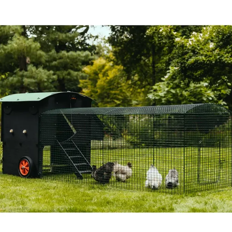 Extension de 1m pour enclos 2 m poulailler surélevé 8-15 poules