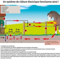 Fermeture d'enclos à ressort