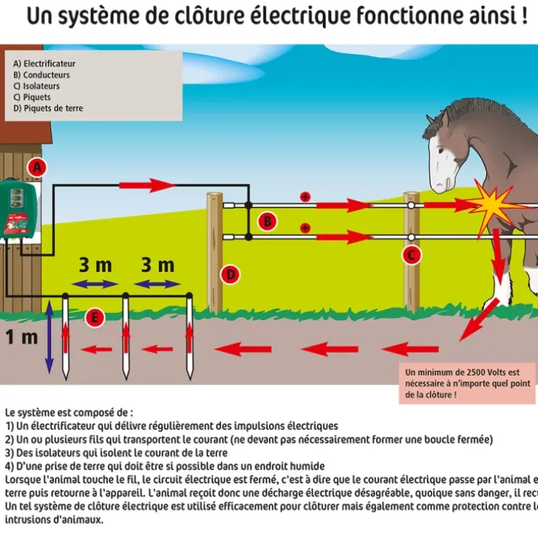 Filet électrifiable mouton 0,90 m