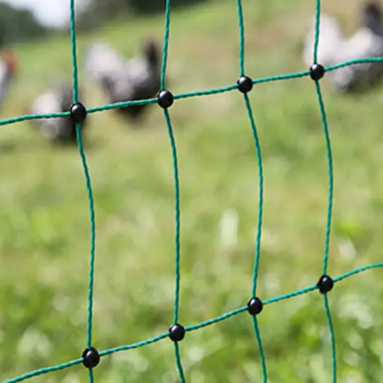 Filet pour poules électrique H 106 cm Longueur 50m