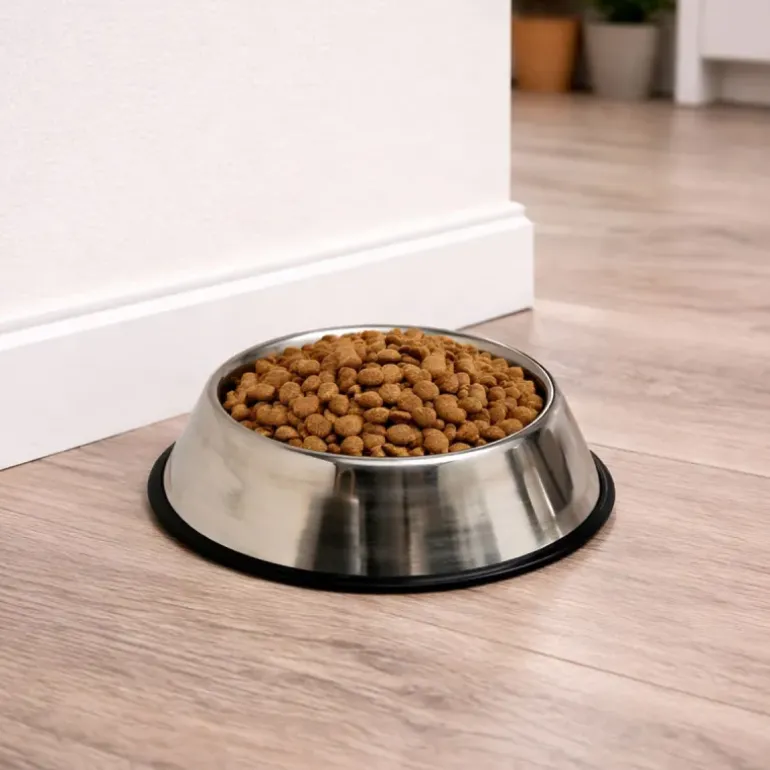 Gamelle pour chien inox Diam. 24 cm -180 ml