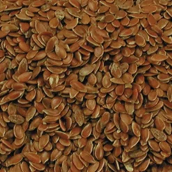 Graines de lin VADIGRAN dépoussiérées 20kg