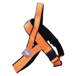 Harnais norvégien réfléchissant orange néoprène nylon 60-70cm