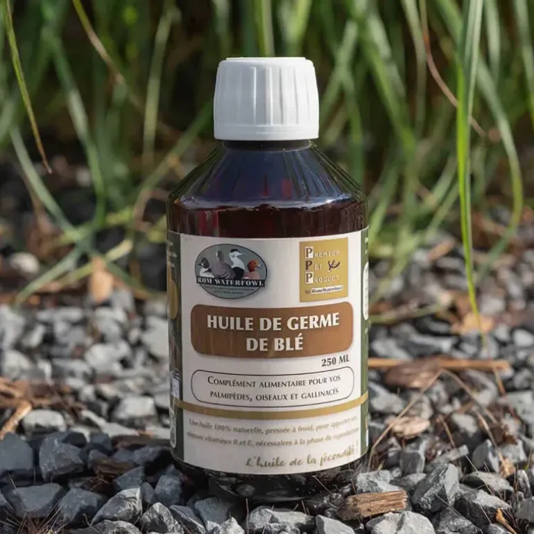 Huile de Germe de Blé 250ml - Stimulant Naturel pour Ponte et Fécondation