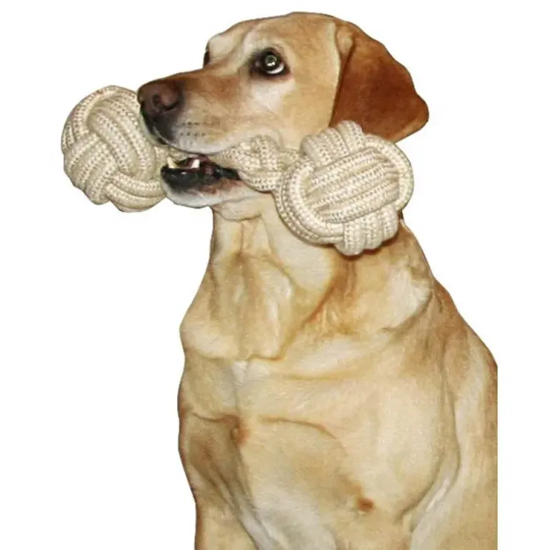 Jeu chien Os en corde 25 cm