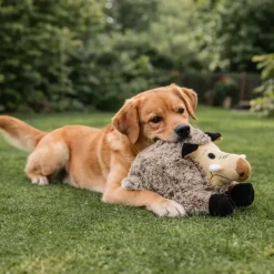 Jeu peluche pour chien Sanglier 25 cm