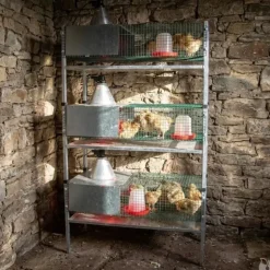 Kit complet 3 cages éleveuses poussins ou cailles