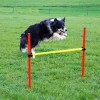 Kit complet d'agilité pour chien Agility en 3 parties