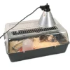 Kit de démarrage pour élevage de poussins