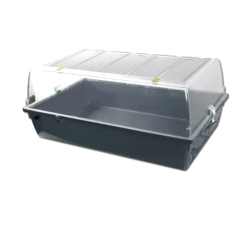 Kit de démarrage pour élevage de poussins