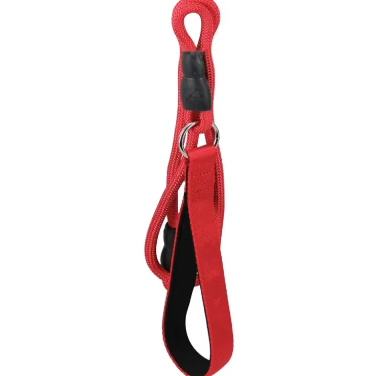 Laisse chien polyester 120 cm - robuste et pratique