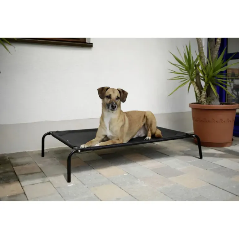 Lit de camp pour chien 130 X 80 cm