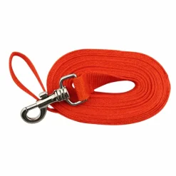 Longe pour chien 5m orange
