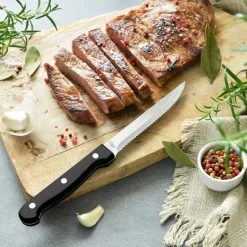 Lot 6 couteaux 22 cm à steak lame inox Pradel France