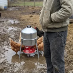 Lot de 5 Abreuvoirs poules et volailles métal galvanisé 30 L sur pieds