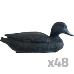 Lot de 48 Appelants Colvert Noir Mâle Flottant