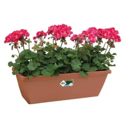 Lot de 8 Balconnières Elho® 50x16cm en plastique effet terre cuite