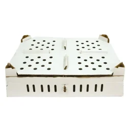 Lot de 25 boîtes transport poussins carton empilables 46 X 60 X 12 cm