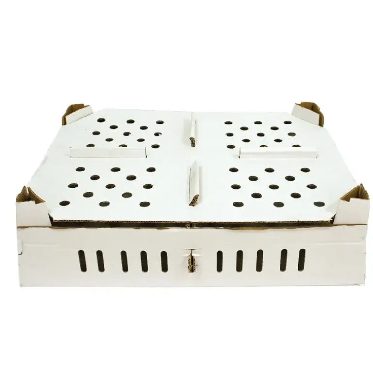 Lot de 25 boîtes transport poussins carton empilables 46 X 60 X 12 cm