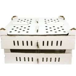 Lot de 25 boîtes transport poussins carton empilables 46 X 60 X 12 cm