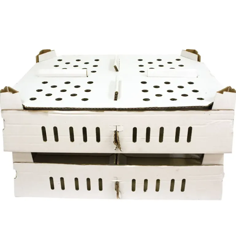 Lot de 25 boîtes transport poussins carton empilables 46 X 60 X 12 cm