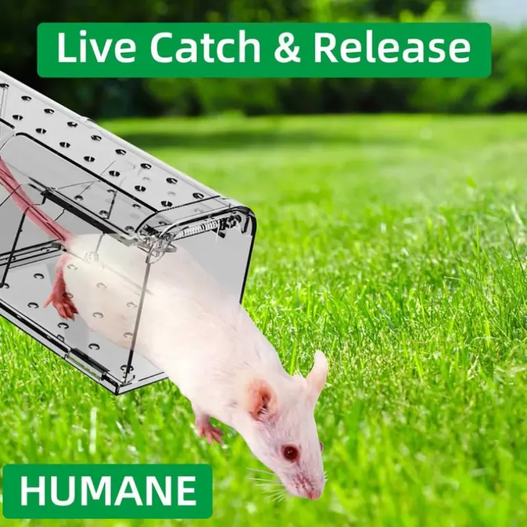 Lot de 2 cages à souris en plastique résistantes avec aération